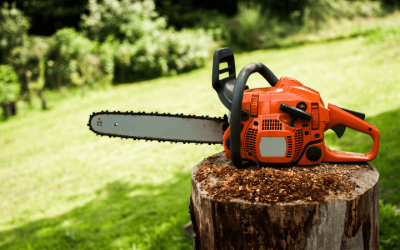 Elevating Your Landscape: A Comprehensive Guide to Thatcher’s, Overseeding, and Yard Work with Westchester Tool Rentals